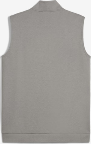 Sweat de sport 'DESERT ROAD' PUMA en gris