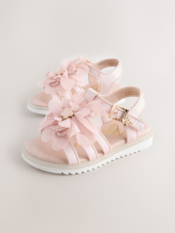 Baker by Ted Baker Sandalen in Roze