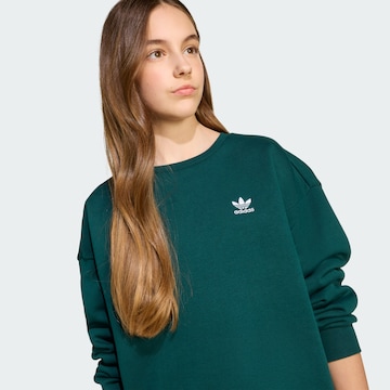 ADIDAS ORIGINALS Sweatshirt in Green