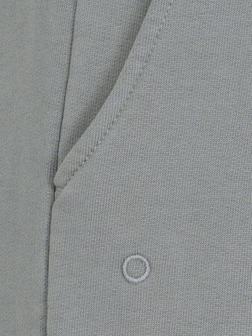 ENRAGE Loose fit Pleat-Front Pants 'ENRAGE' in Grey