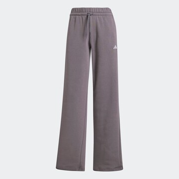 Pantaloni sportivi di ADIDAS SPORTSWEAR in grigio: frontale