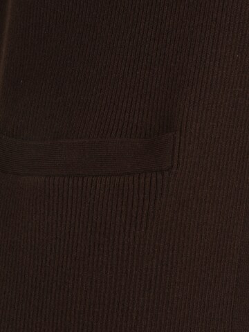 Cardigan 'KAMRUN' Lauren Ralph Lauren Petite en marron