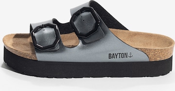 Zoccoletto 'JAPET' di Bayton in grigio: frontale