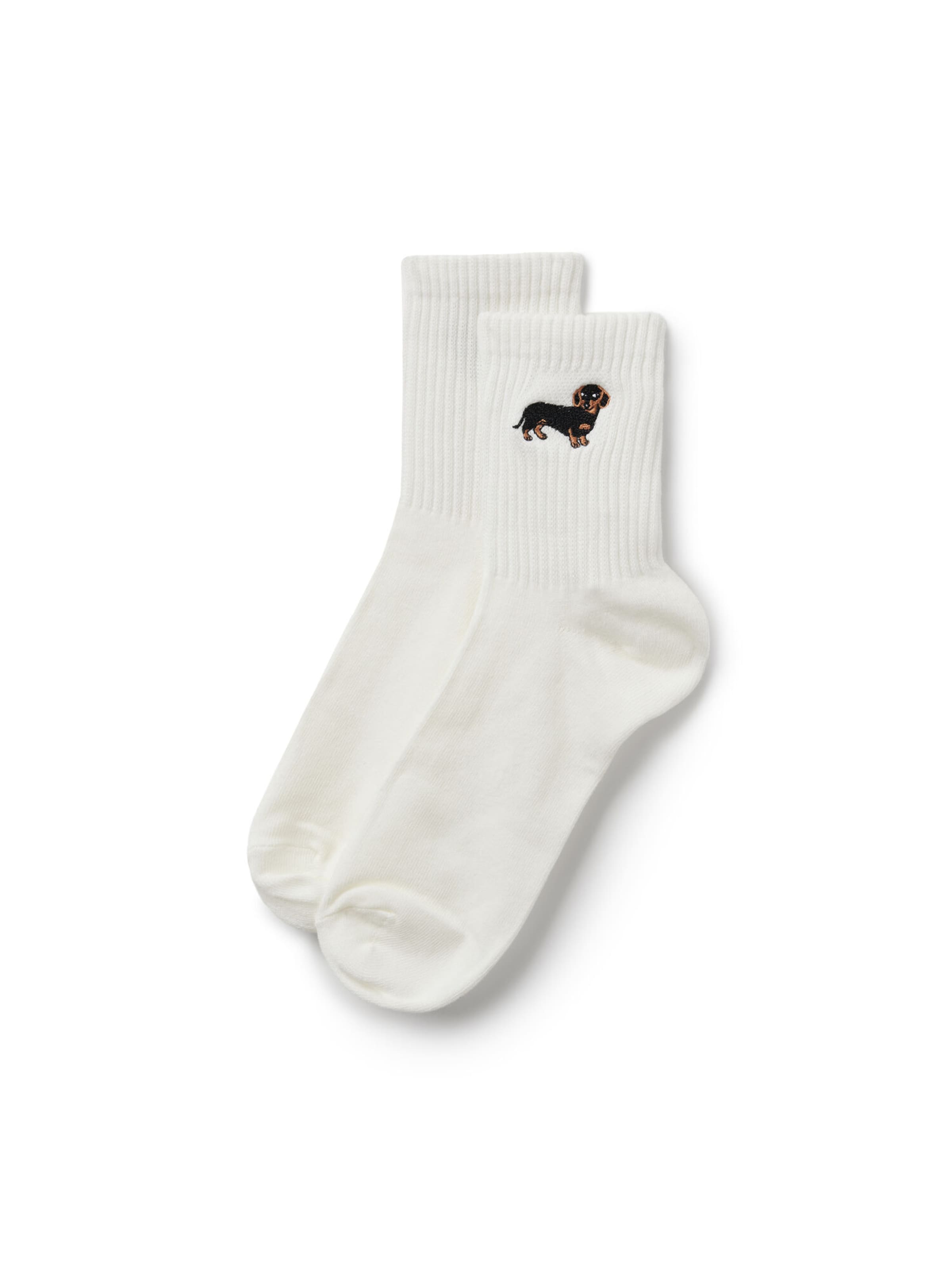 Tezenis Socks in 36-41 in White, Item view