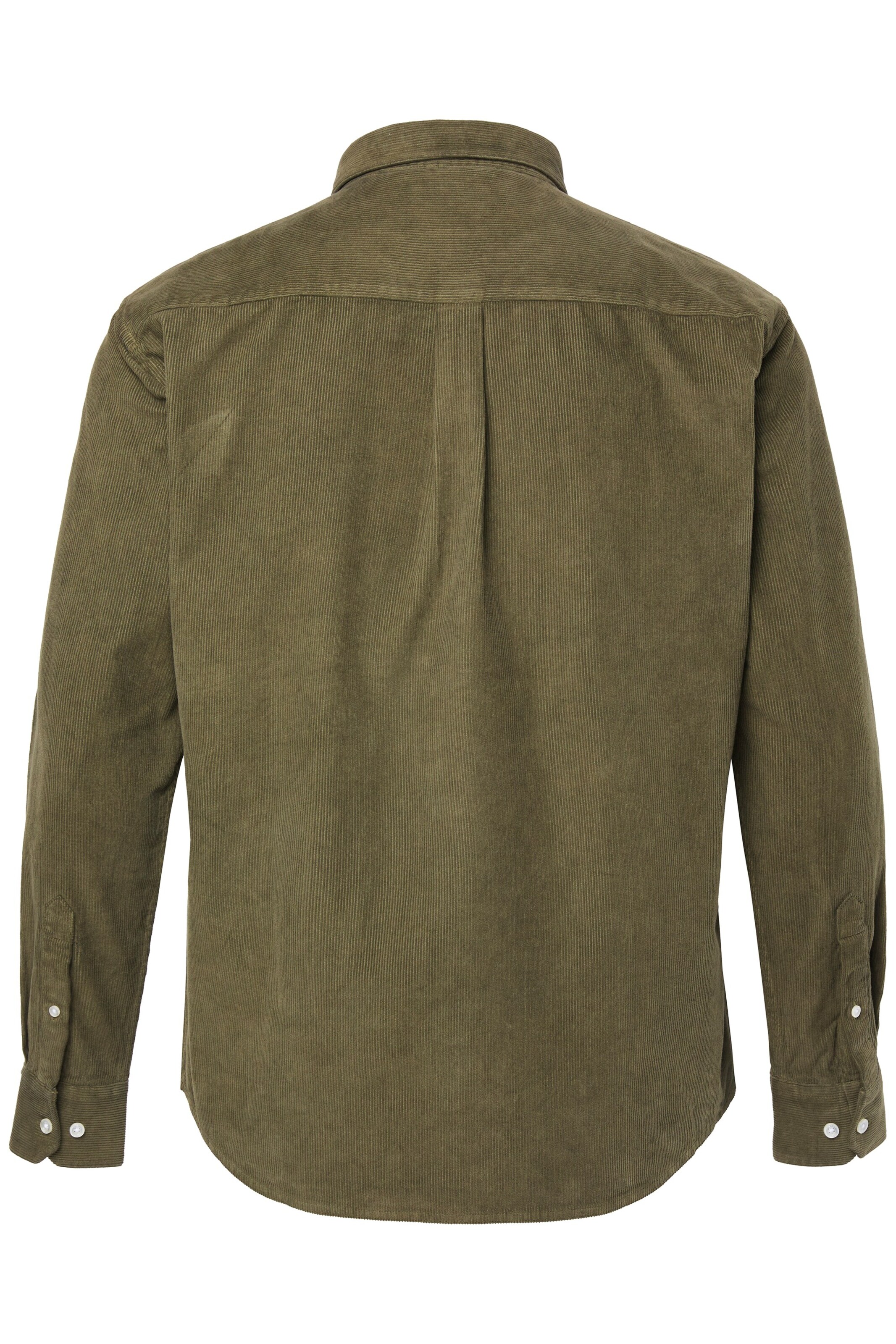 JP1880 Regular fit Button Up Shirt in Green