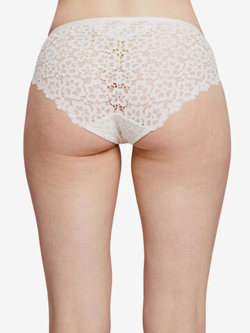 ESPRIT Boyshorts in White