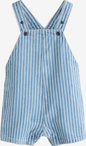 Next Regular Haalari värissä sininen: etupuoli