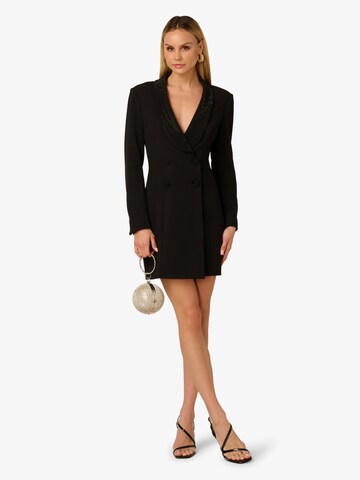 Adrianna Papell Kleid in Schwarz