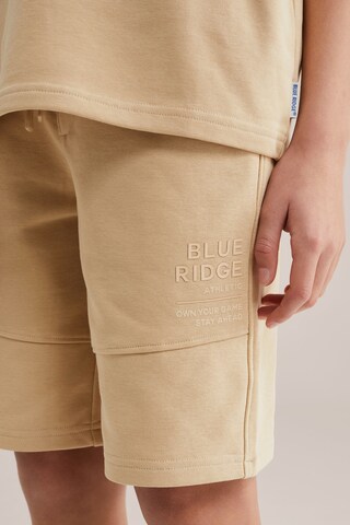 WE Fashion Regular Trousers in Beige