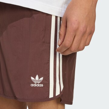 ADIDAS ORIGINALS Regular Broek 'Adicolor Classics Sprinter' in Bruin