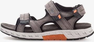 Pius Gabor Sandals in Grey