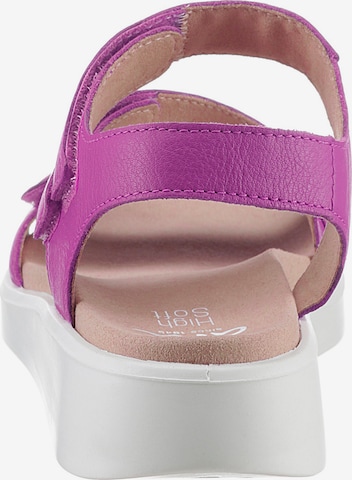 ARA Sandals in Pink