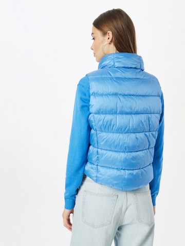 COMMA Vest in Blue