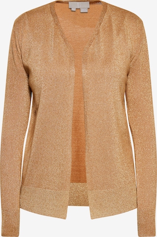 RISA Knit Cardigan in Brown: front