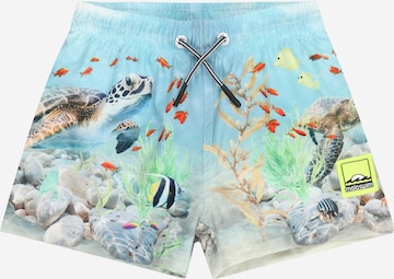 Molo Badeshorts 'Niko' in Blau: Vorderseite