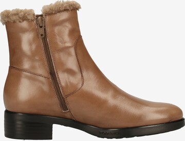 Boots Wonders en marron