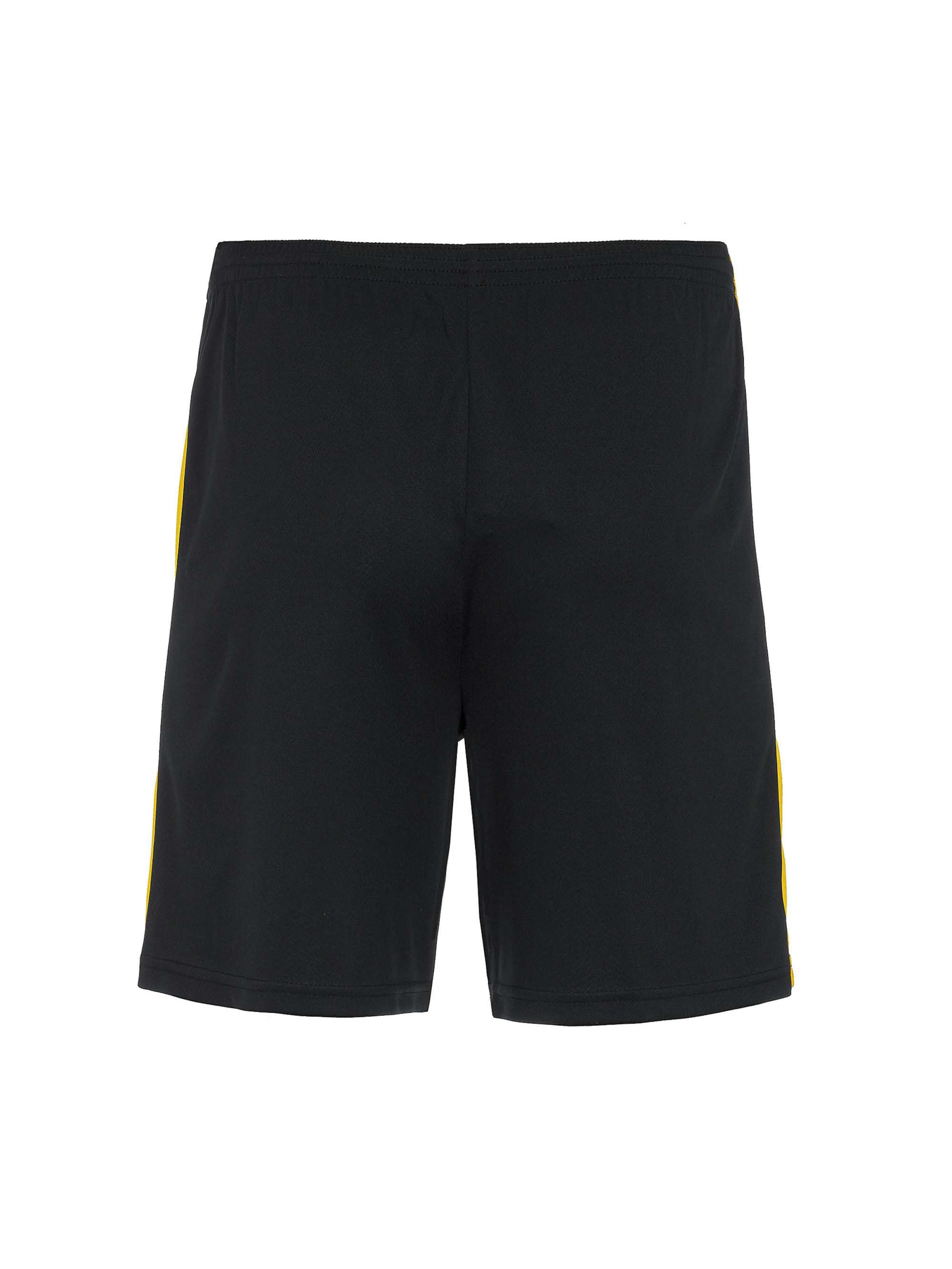 Errea Regular Sporthose in Schwarz