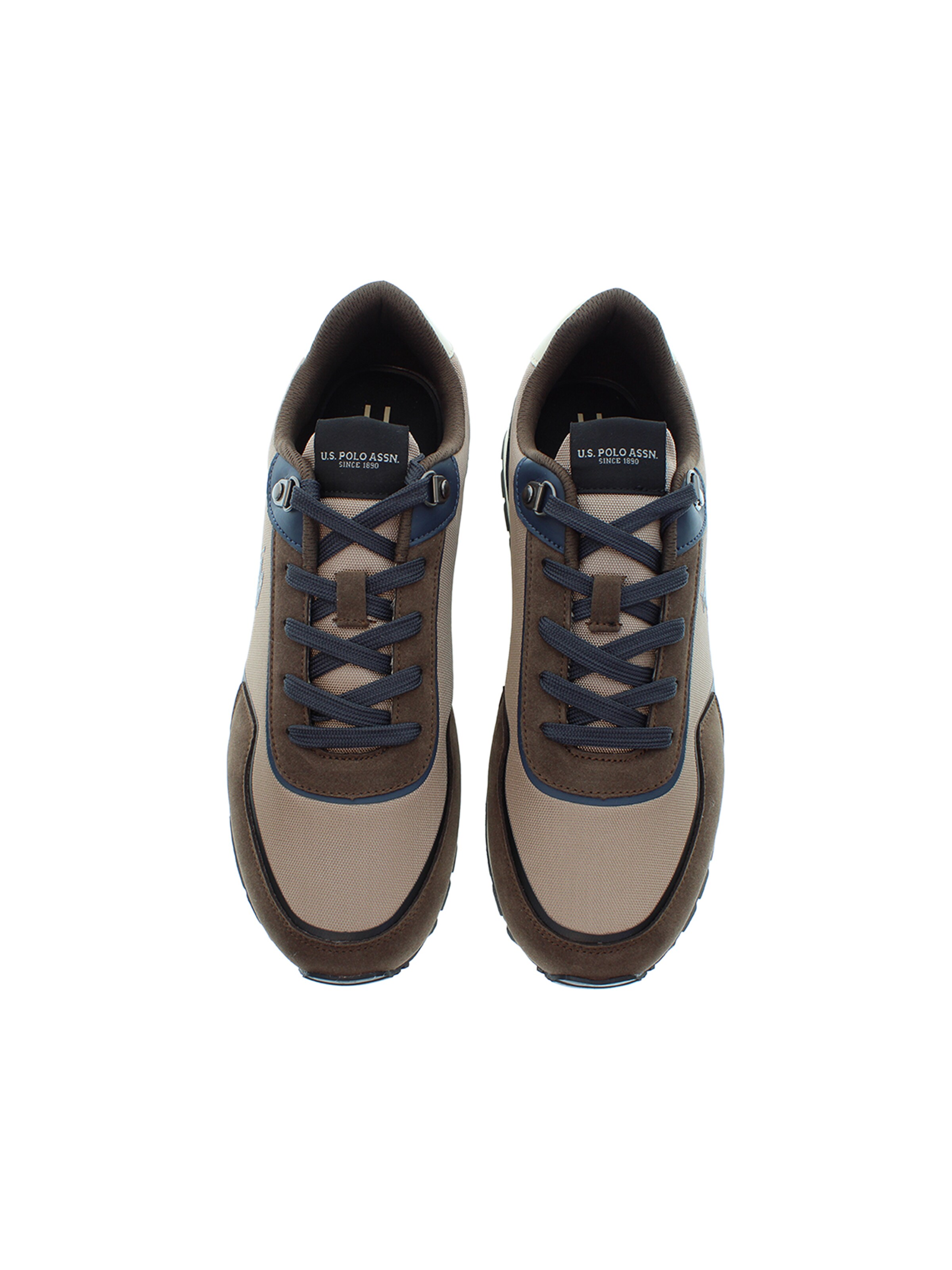 U.S. POLO ASSN. Sneaker 'Aron' in Braun