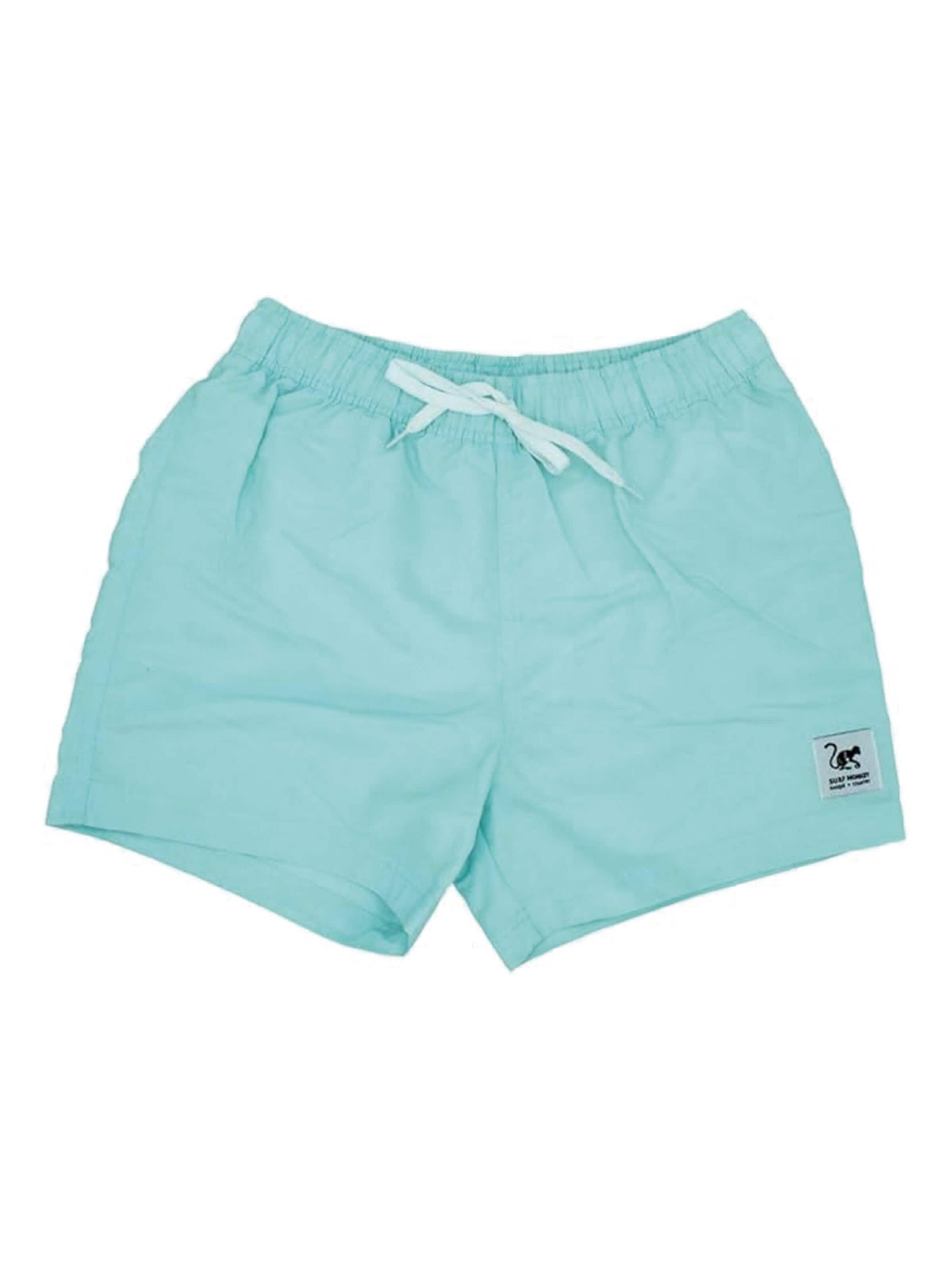 Surf Monkey Swimming Trunks in Blue: front