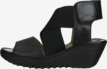 FLY LONDON Sandals in Black