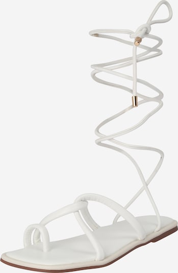 Dorothy Perkins Босоножки через палец 'Frankie' в Кремовый, Обзор товара