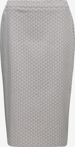 Goldner Skirt in Grey: front