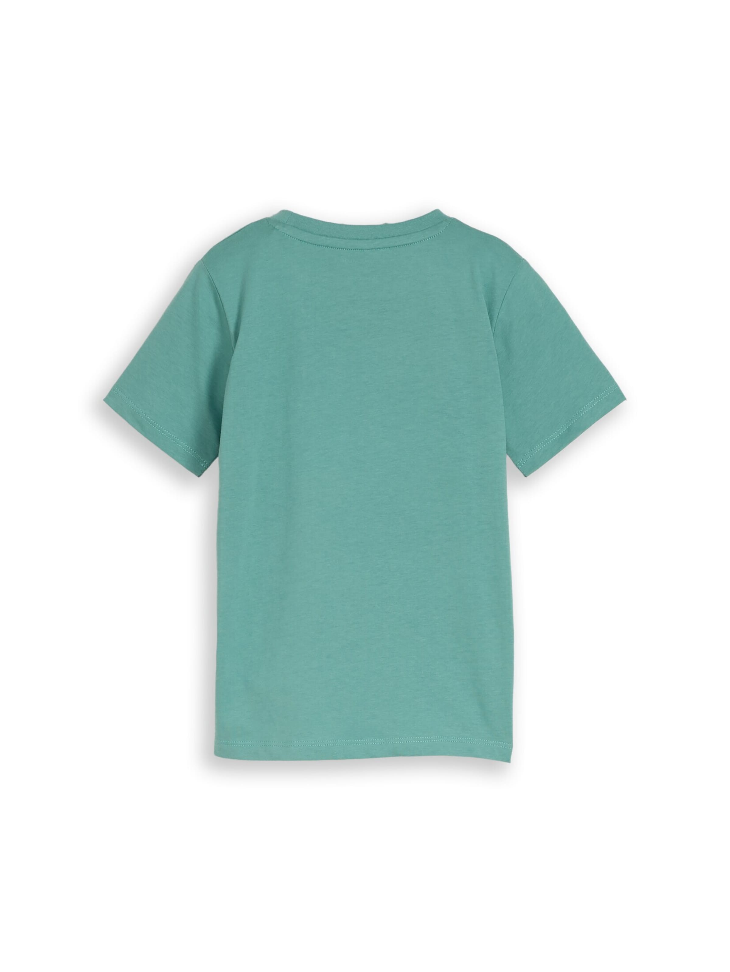 TOM TAILOR Shirt in Green