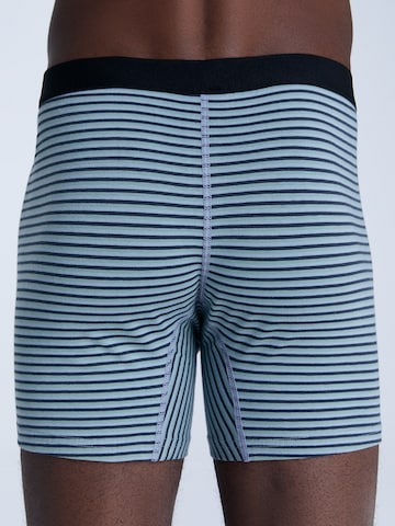 Albero Natur Boxershorts in Blau