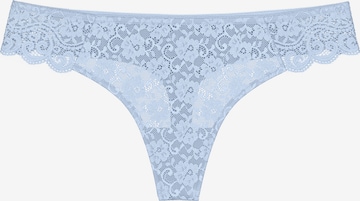 TRIUMPH String 'Red Label Amourette' in Blau: Vorderseite