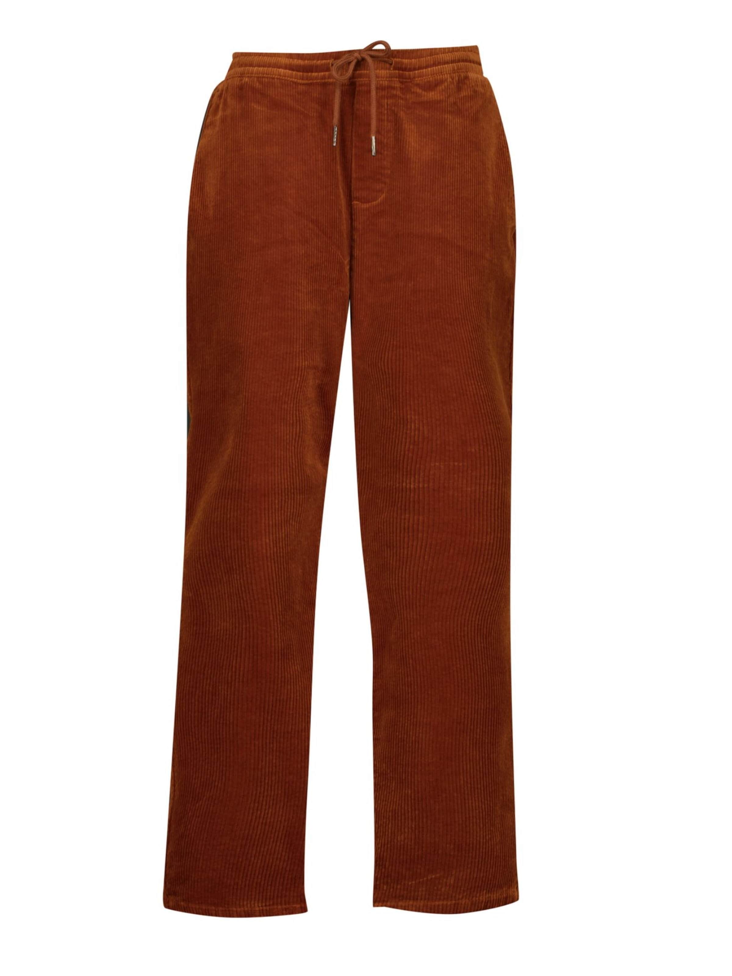 Regular Pantalon Deeluxe en marron : devant