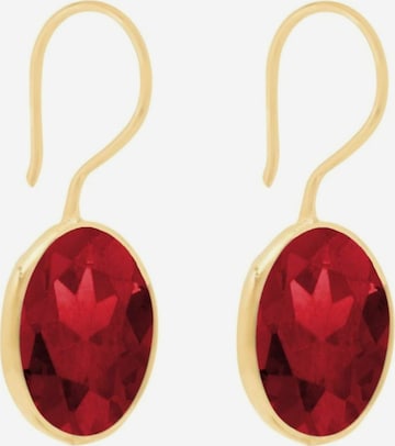 Gemshine Earrings in Red