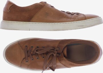 Barbour Flats & Loafers in 45,5 in Brown: front