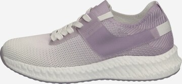 Baskets basses CAPRICE en violet