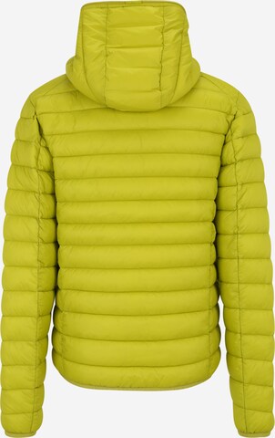 SAVE THE DUCK Winter Jacket 'Donald' in Green