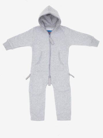 Moniz Dungarees in Grey: front