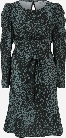 Dorothy Perkins Jurk in Groen: voorkant