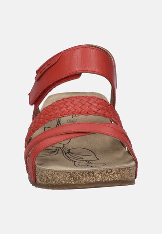 JOSEF SEIBEL Sandal 'Tonga 83' in Red