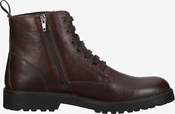 IGI&CO Lace-Up Boots in Brown