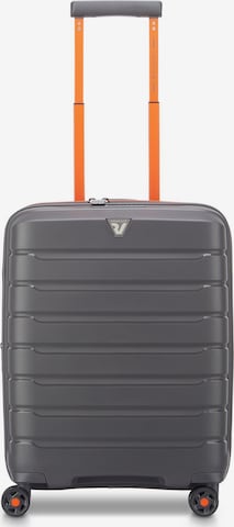 Roncato Trolley in Grau: Vorderseite