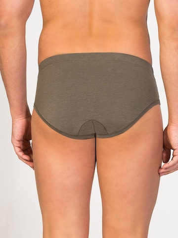 zd ZERO DEFECTS Slip 'Mercurio Soya Brief'‌‌‌‌ in Grün