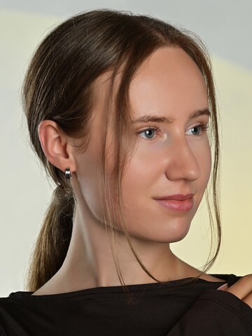 Akzent Earrings 'Milo, langlebig' in Silver: front