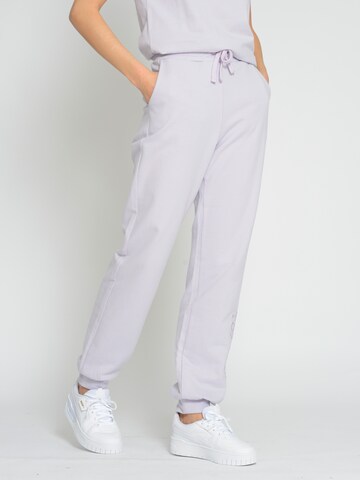 TOP GUN Tapered Pants in Purple: front