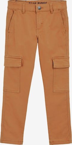 WE Fashion Штаны в Коричневый: спереди