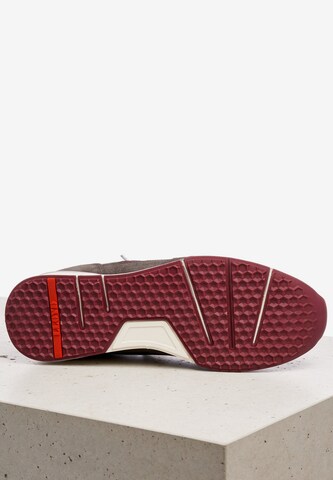 LLOYD Sneaker 'EGIDIO' in Braun