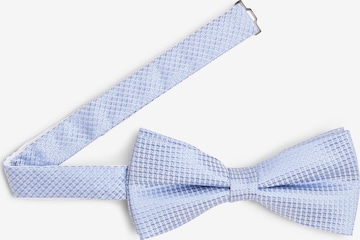 OLYMP Bow Tie in Blue