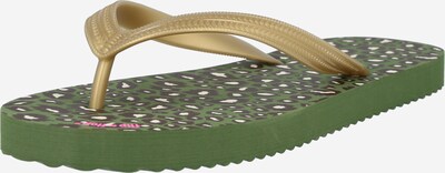 FLIP*FLOP Japanke u maslinasta, Pregled proizvoda