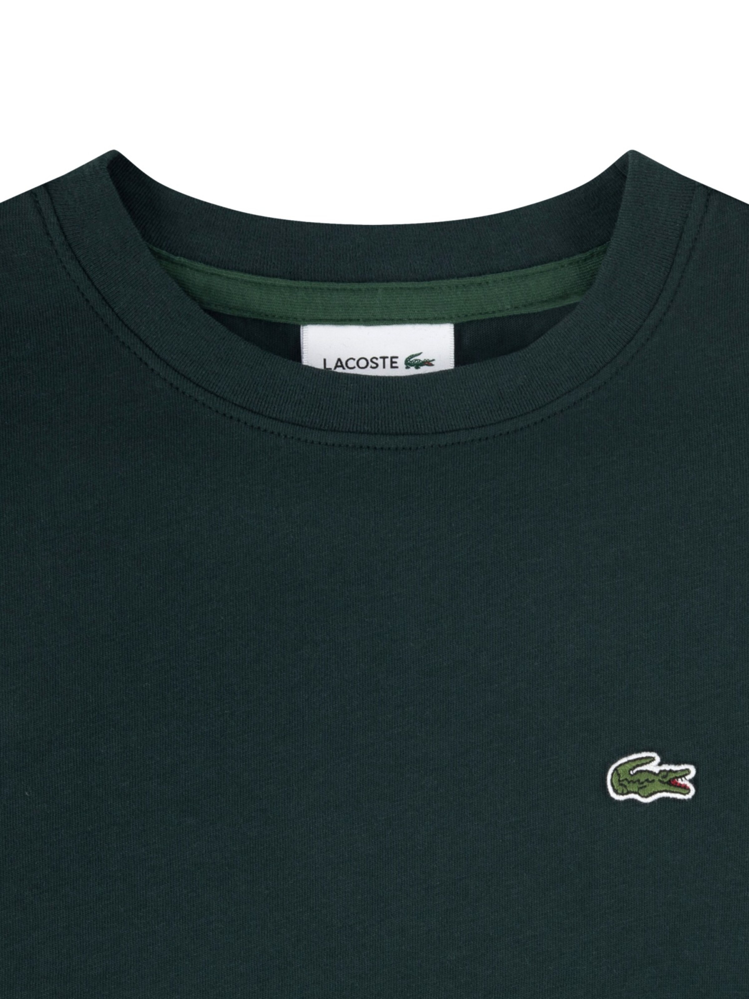 LACOSTE Shirt in Green