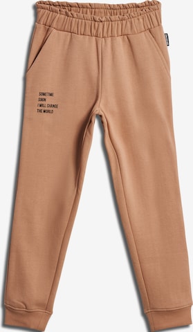 SOMETIME SOON Regular Pants in Brown: front