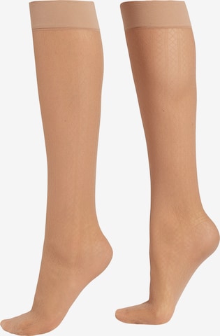 CALZEDONIA Knee High Socks in Beige: front