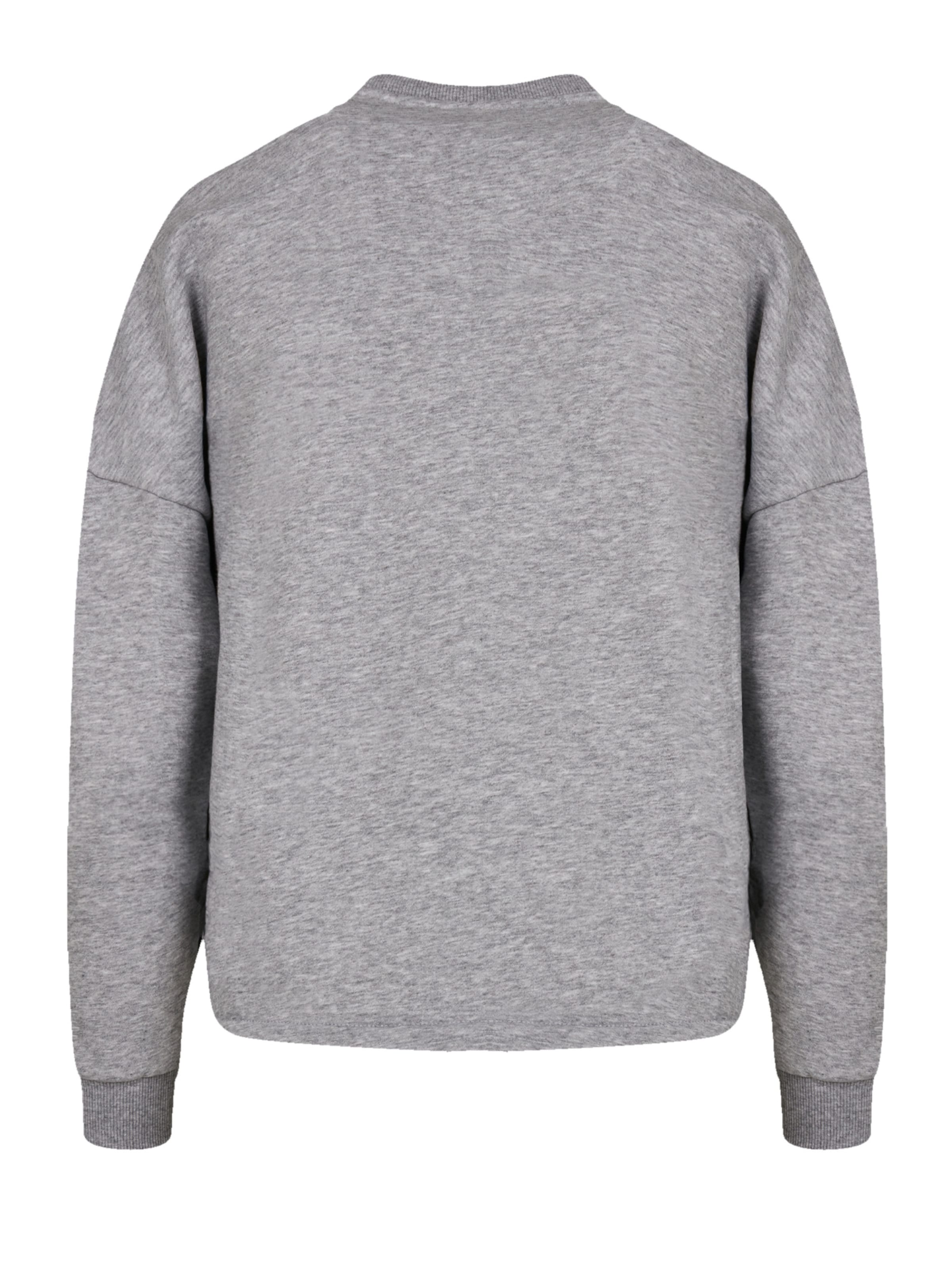 F4NT4STIC Sweatshirt in Grey